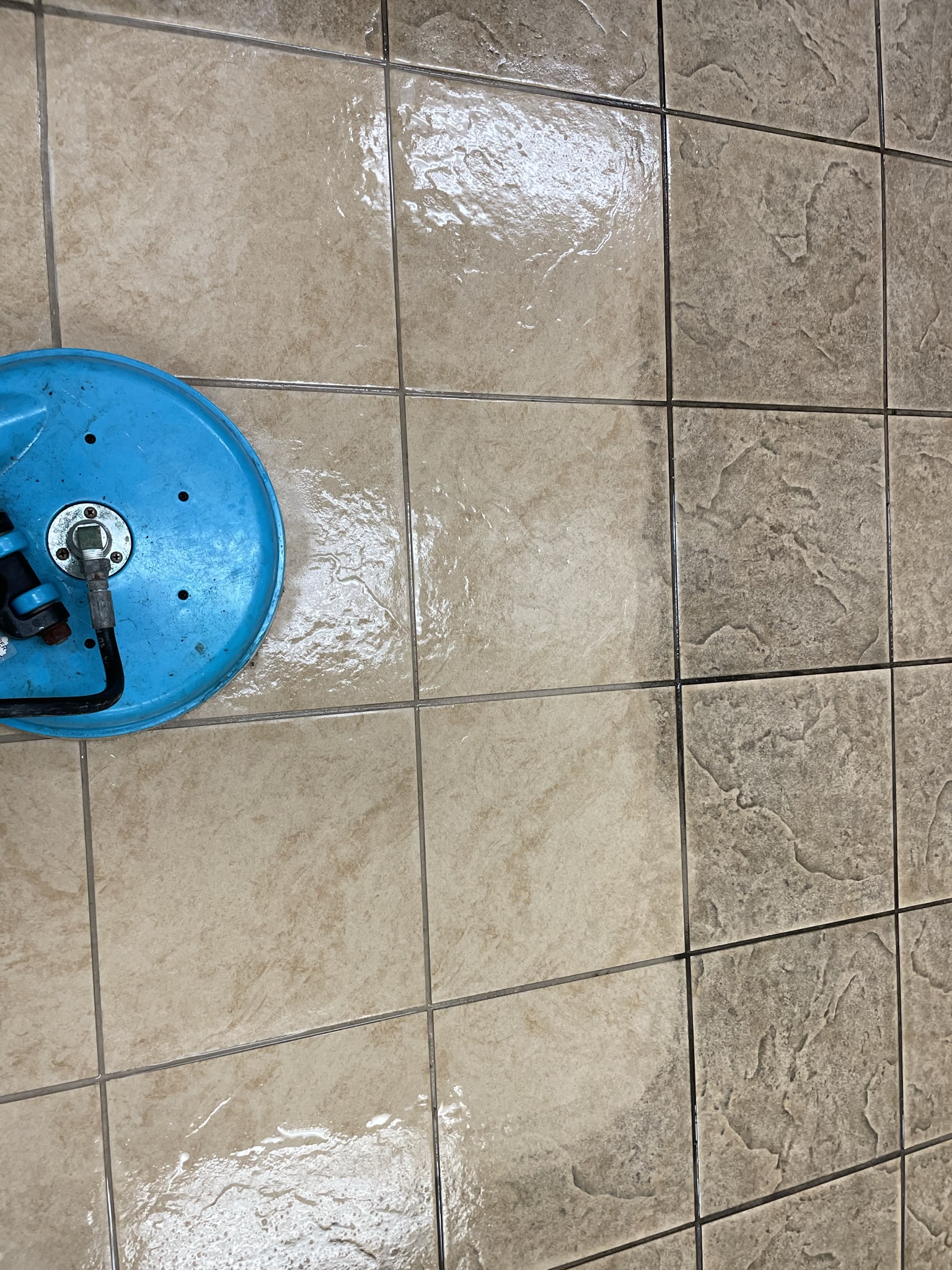 St Augustine Carpet Cleaning Photo Gallery