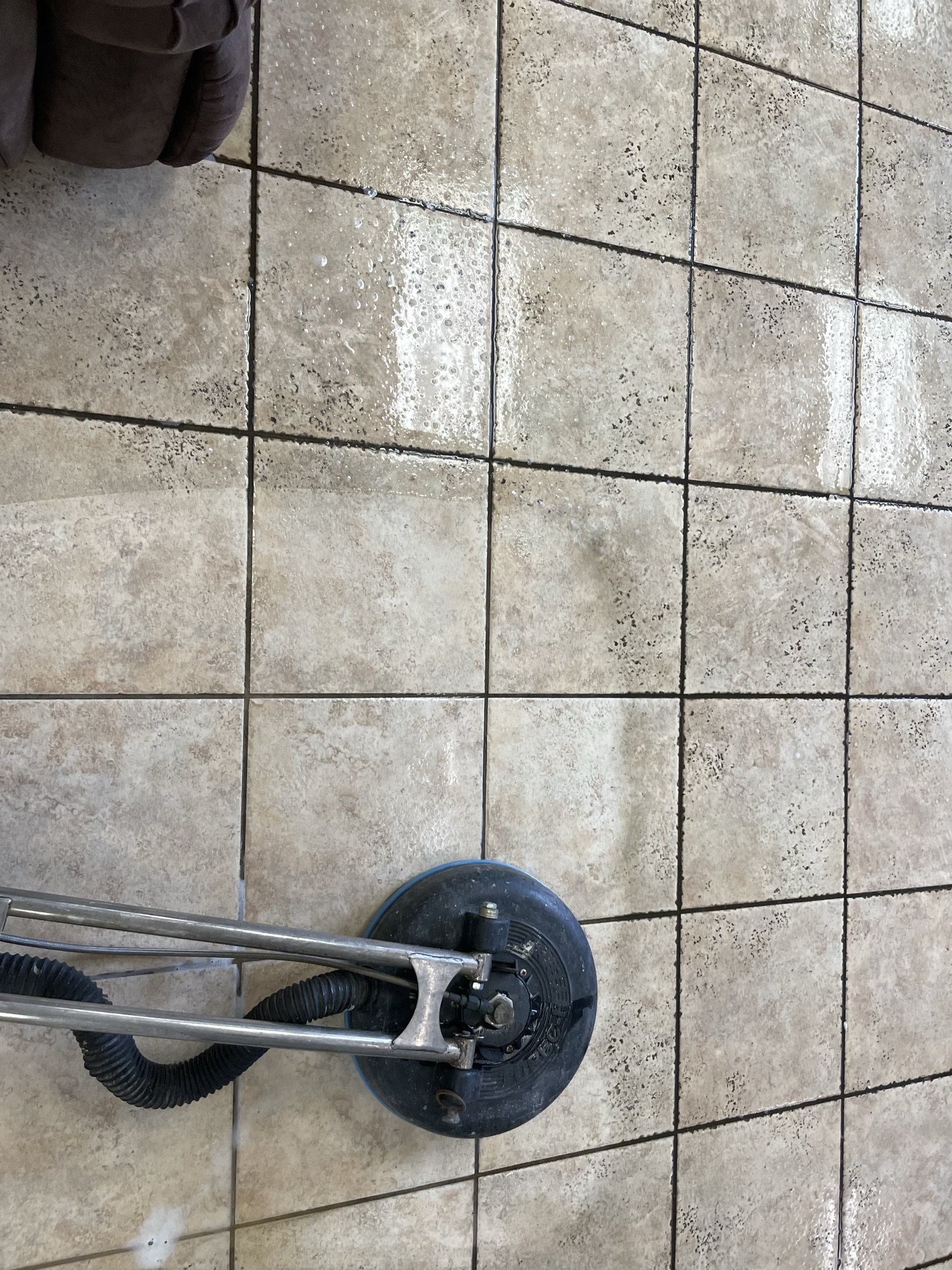 St Augustine Carpet Cleaning Photo Gallery