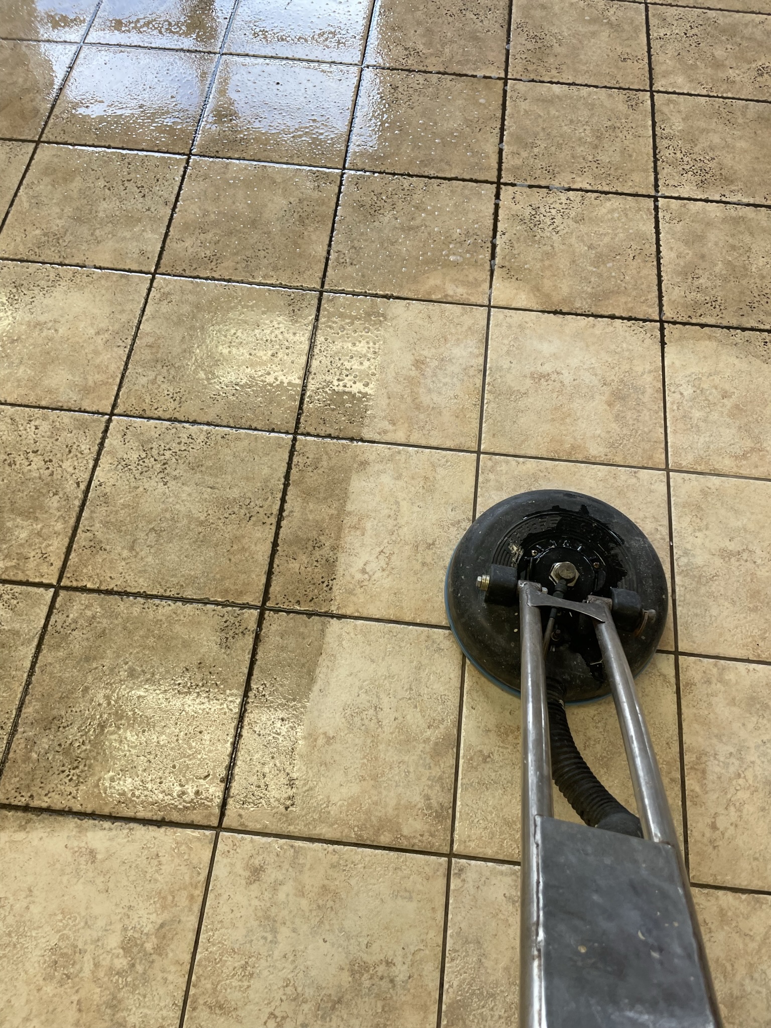 St Augustine Carpet Cleaning Photo Gallery