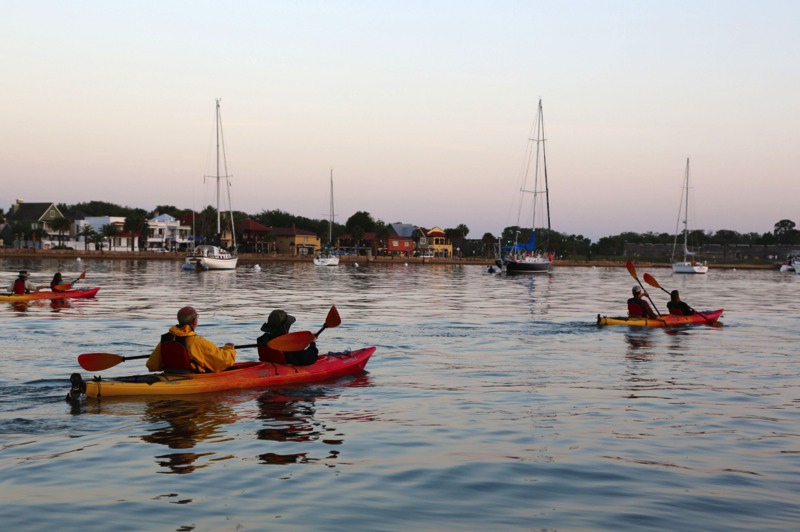 Kayak Adventures St. Augustine Eco Tours Best Kayaking see dolphin