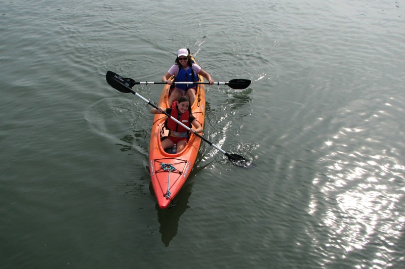 Kayak Adventures St. Augustine Eco Tours Best Kayaking see dolphin