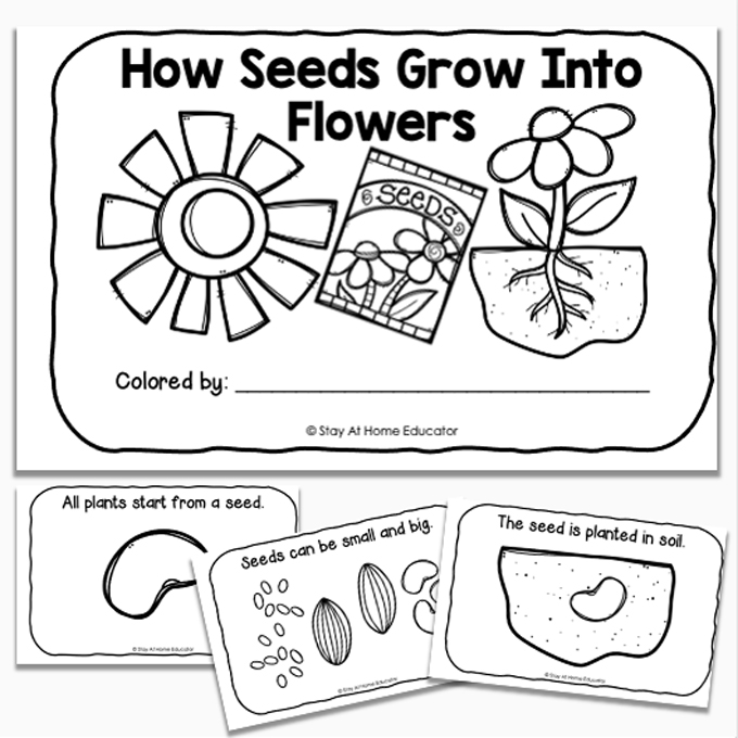 Spring Emergent Readers Stay At Home Educator