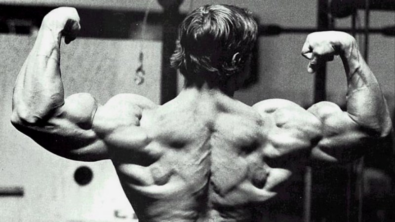 Arnold Schwarzenegger's Plan To Cut