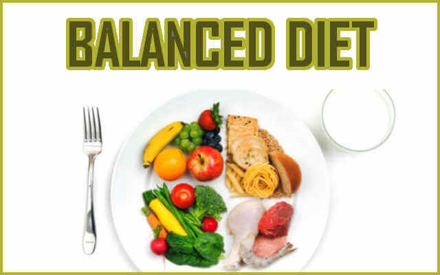 Healthy Daily Diet A Balance of Carbs, Protein, Fat, Vitamins & Minerals
