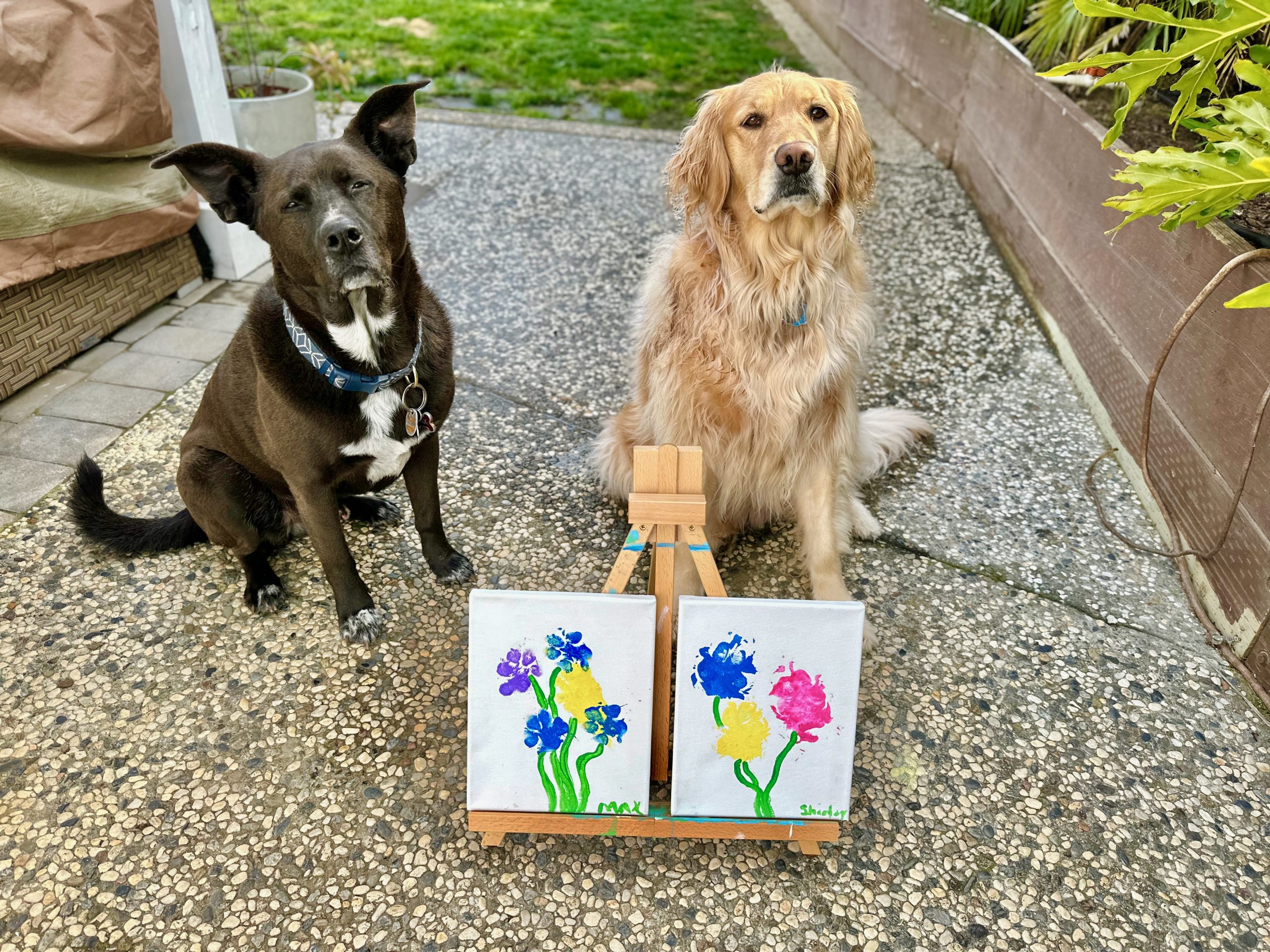 Paw Print Art Staying Blonde