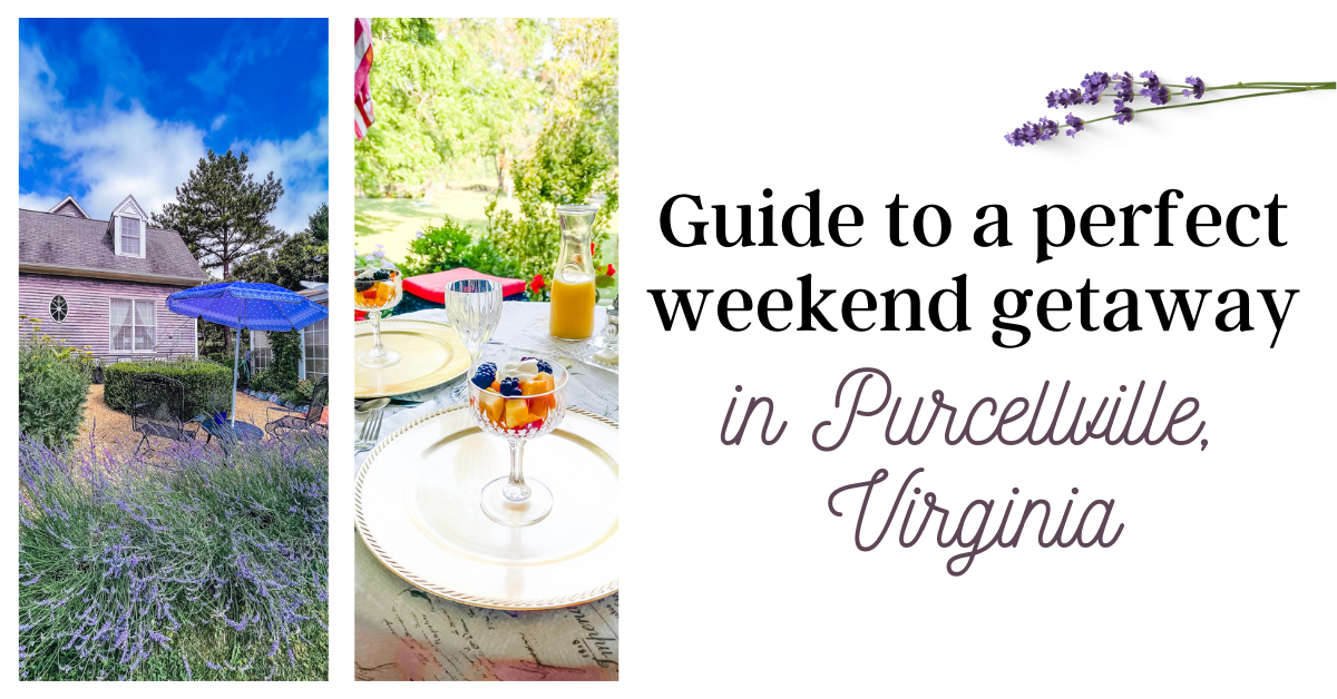 10 Airbnb Getaways Inspired by Taylor Swifts Folklore stays and getaways