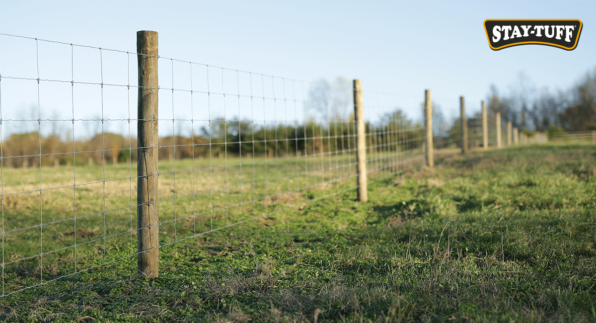 What Is The Best Fence Post Material at Stephen Chambers blog