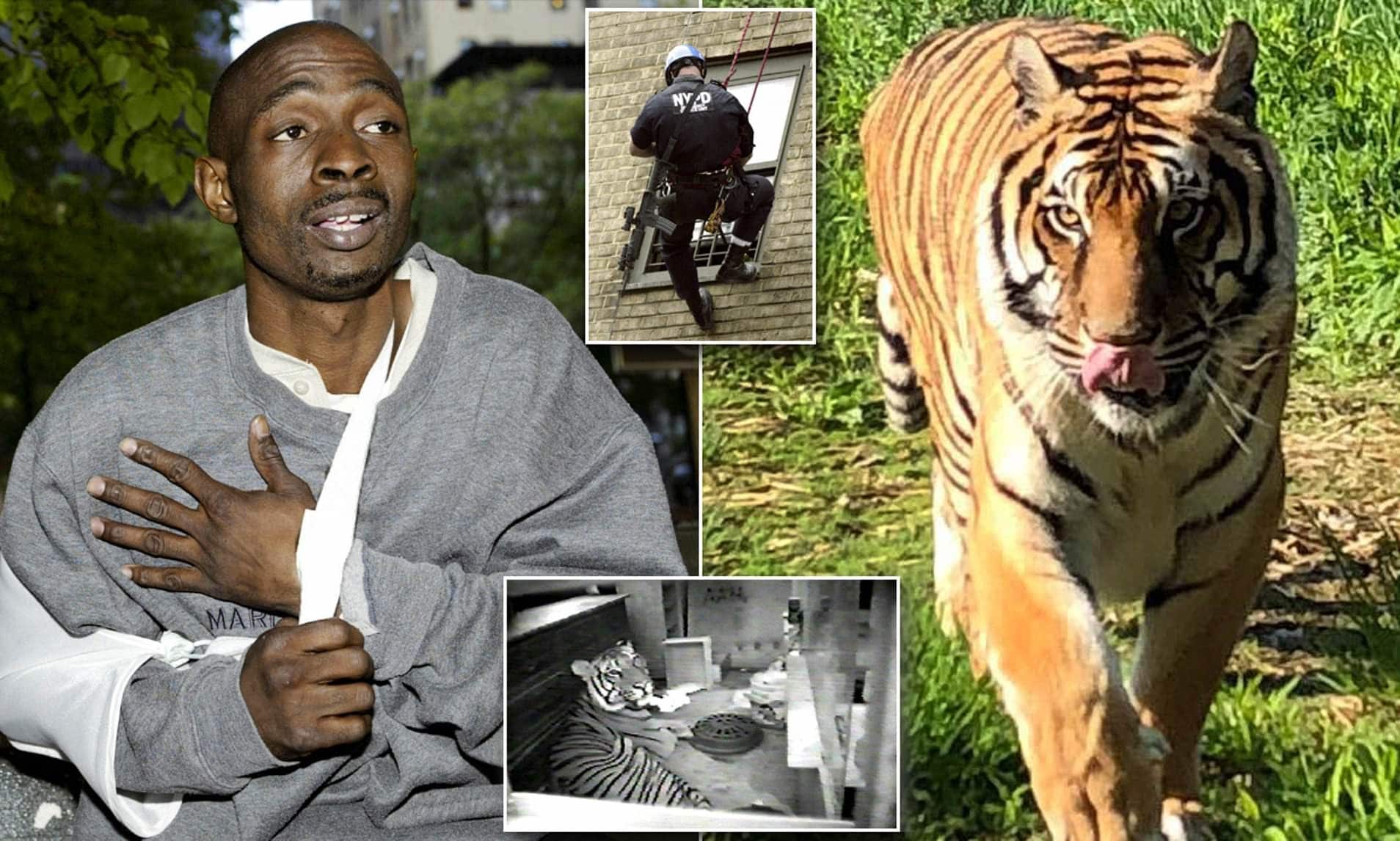 11 Most Bizarre and Weirdest Crimes Ever Committed!