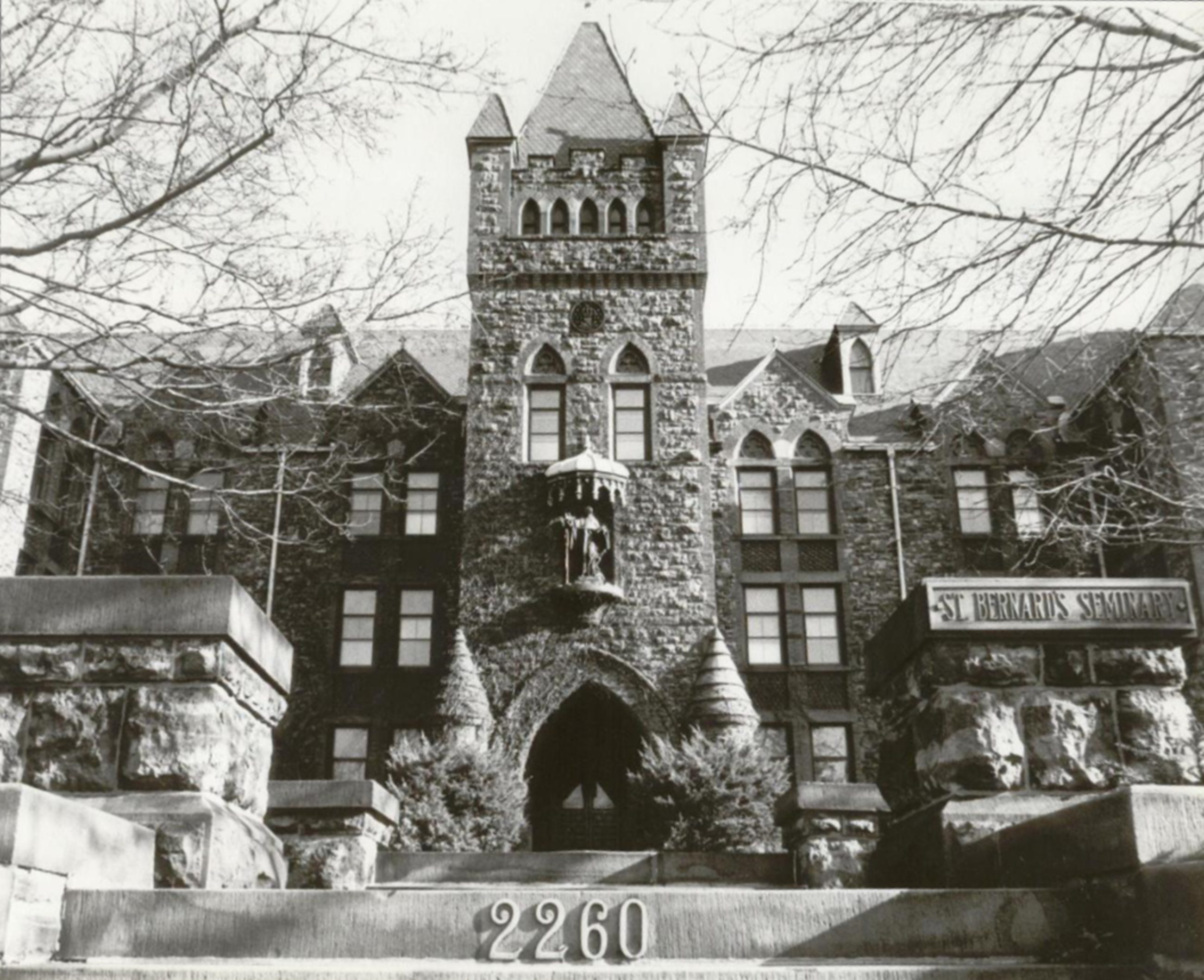 About Us St. Bernard's