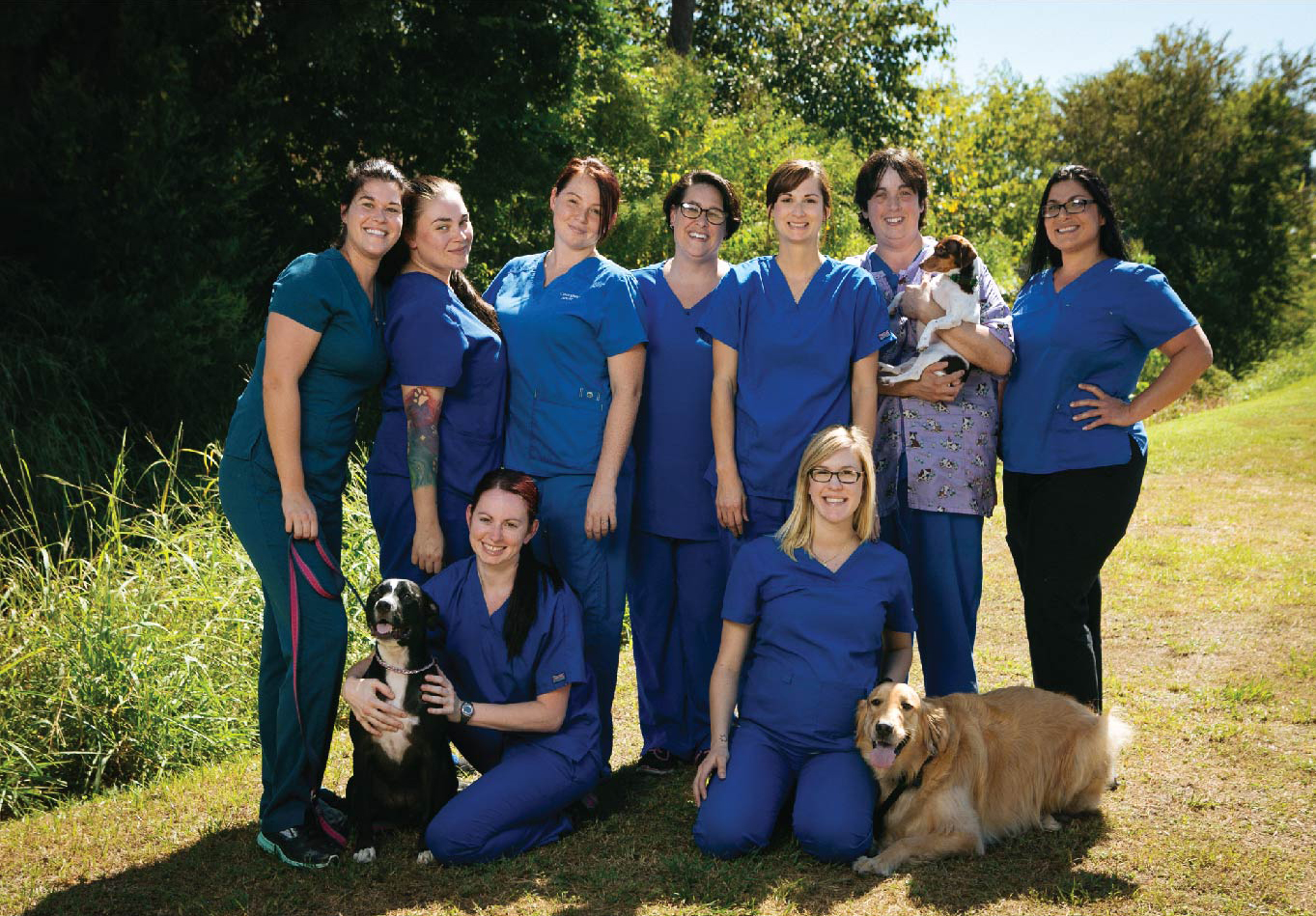 Print St. Bernard Veterinary Hospital