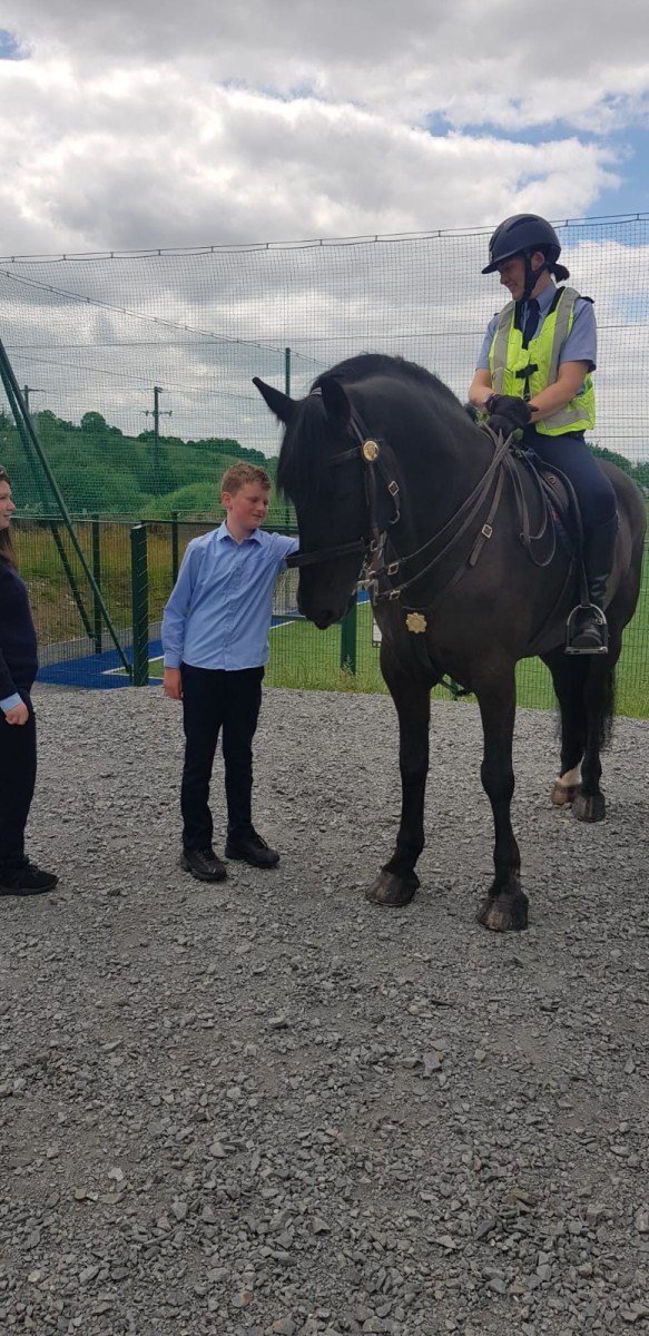 A visit from the Garda Mounted Unit St Brigids National School