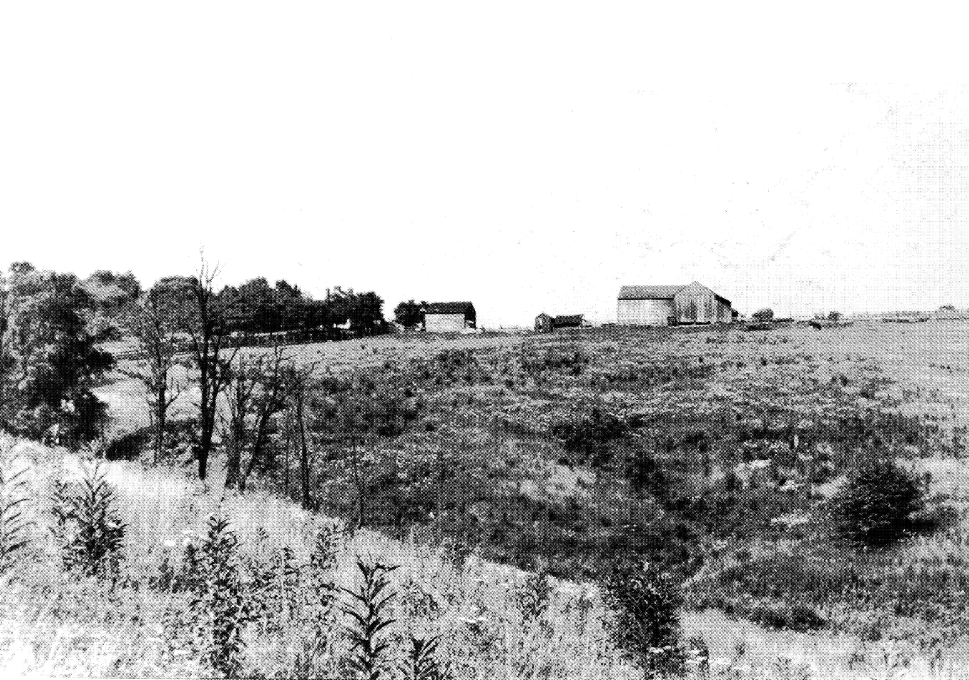 Early Settlers St. Clair Cemetery