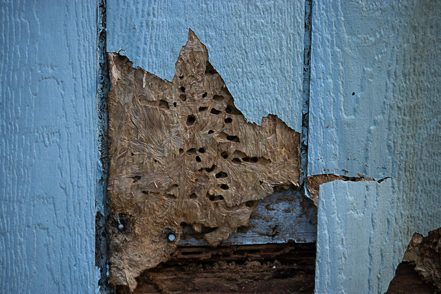3 Signs your wood siding needs to be replaced St. Clair of the Ozarks
