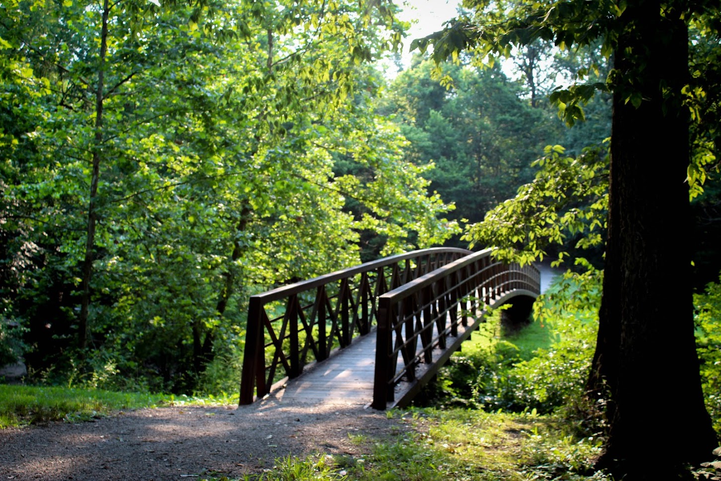 centennial bridge Saint Clair Township