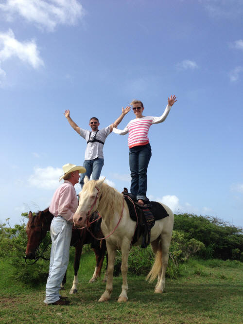 St. Croix Horseback Riding with Equus Cane Bay US Virgin Islands