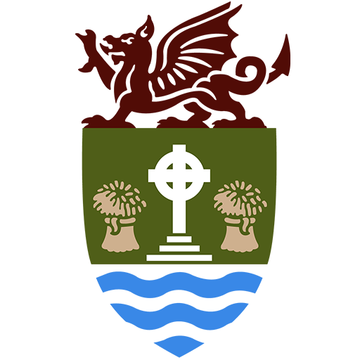 Policies and Procedures St Davids City Council