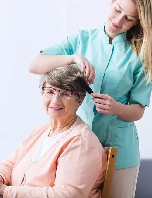 Senior Home Care Services Mclean Northern Virginia