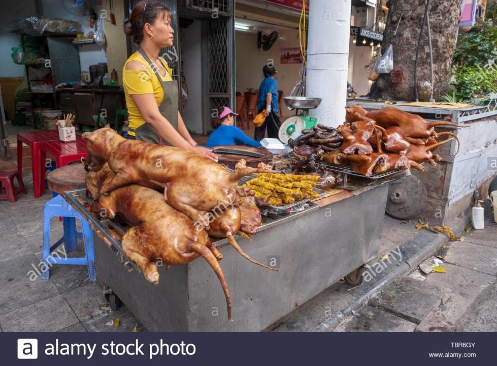 North Korea Orders Pet Dogs Seized From Owners Amid Food Shortages Report