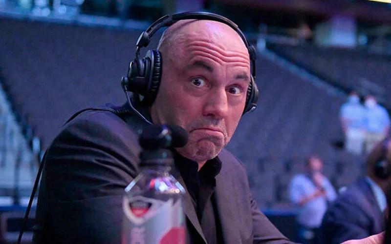 Joe Rogan Reveals Real Reason Why He Finally Brought Trump On His Podcast