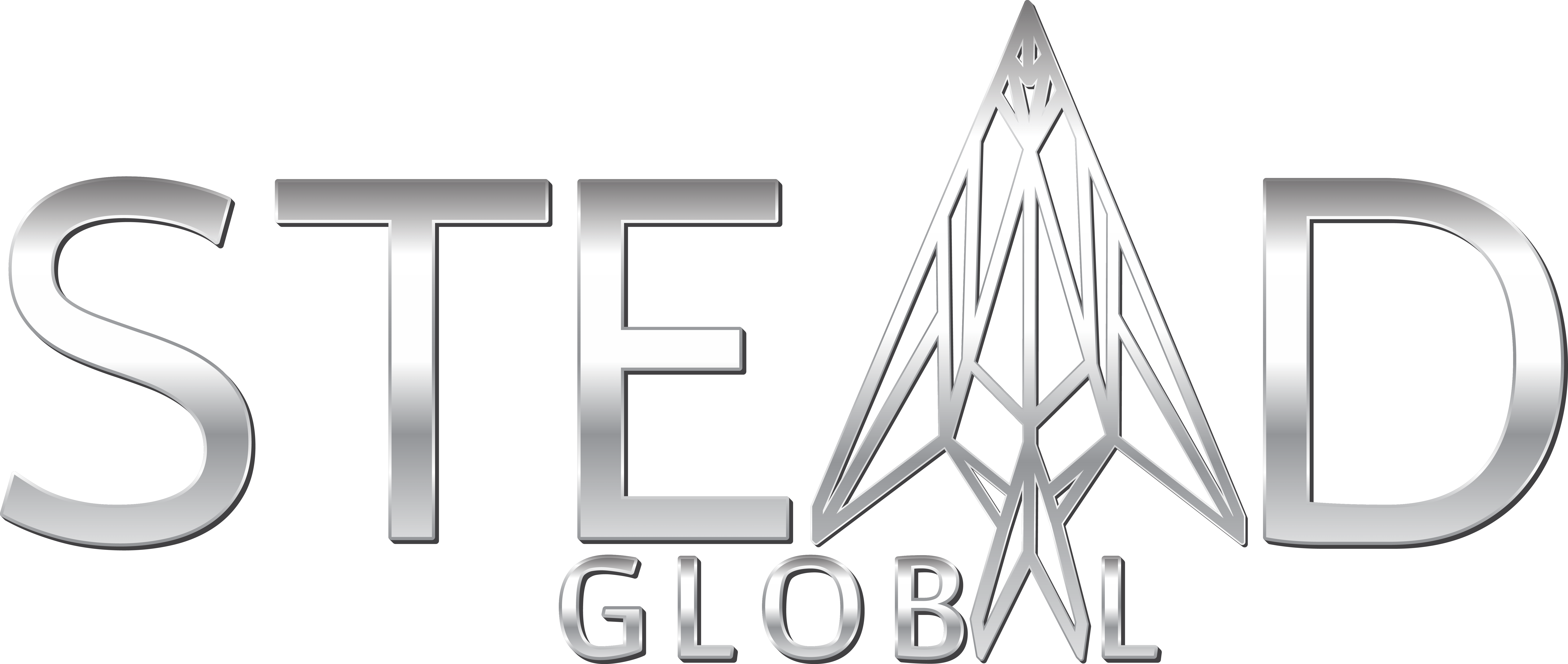 Stead Global, LLC Project Portfolio Management