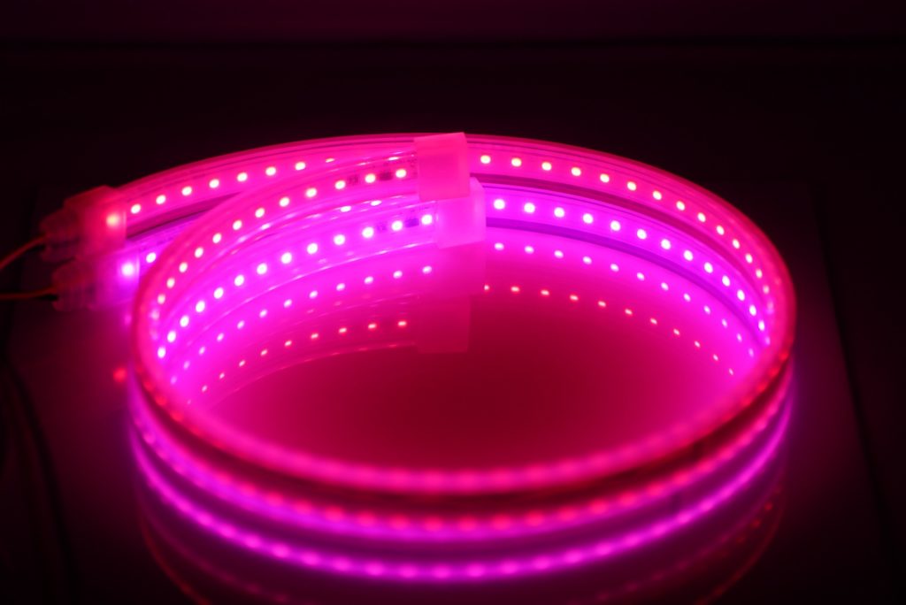 Purple LEDs Steadlands