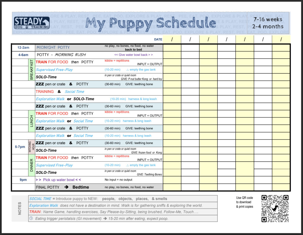 Dog Training Resources Steady Dog Training