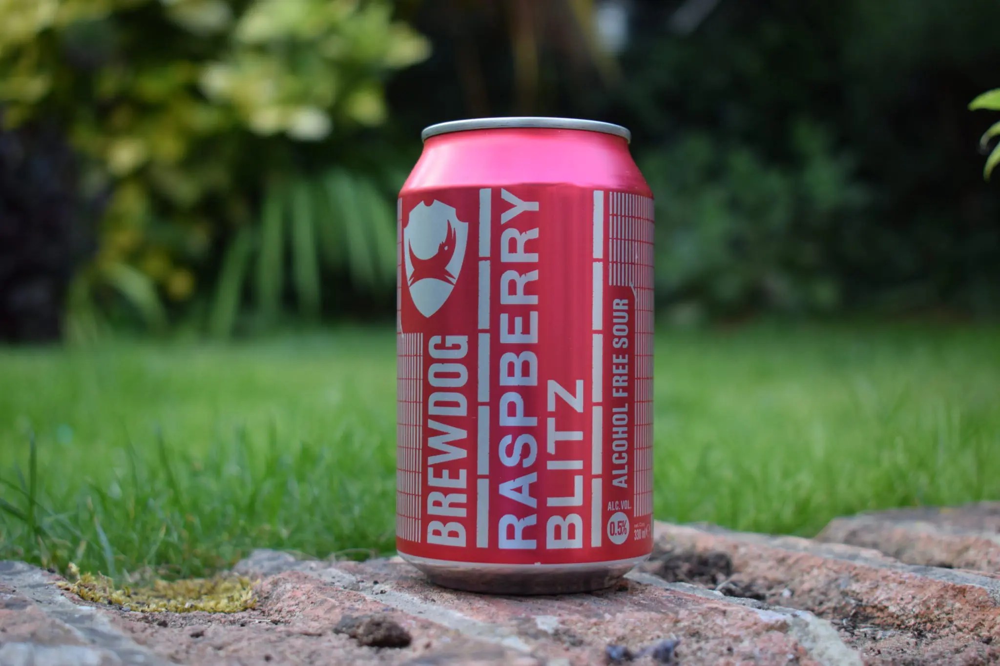 Brewdog 'Raspberry Blitz' Review LowAlcohol (0.5) Sour Beer