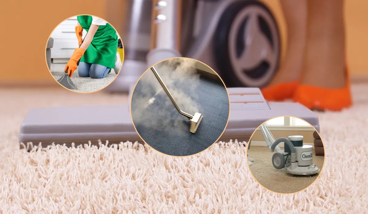 5 Steps on How to Clean a Silk Rug