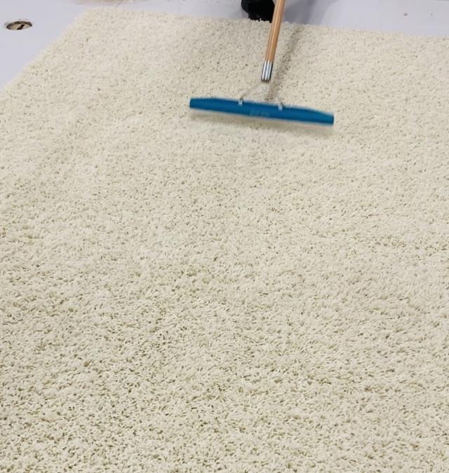 Oriental & Area Rug Cleaning Facility