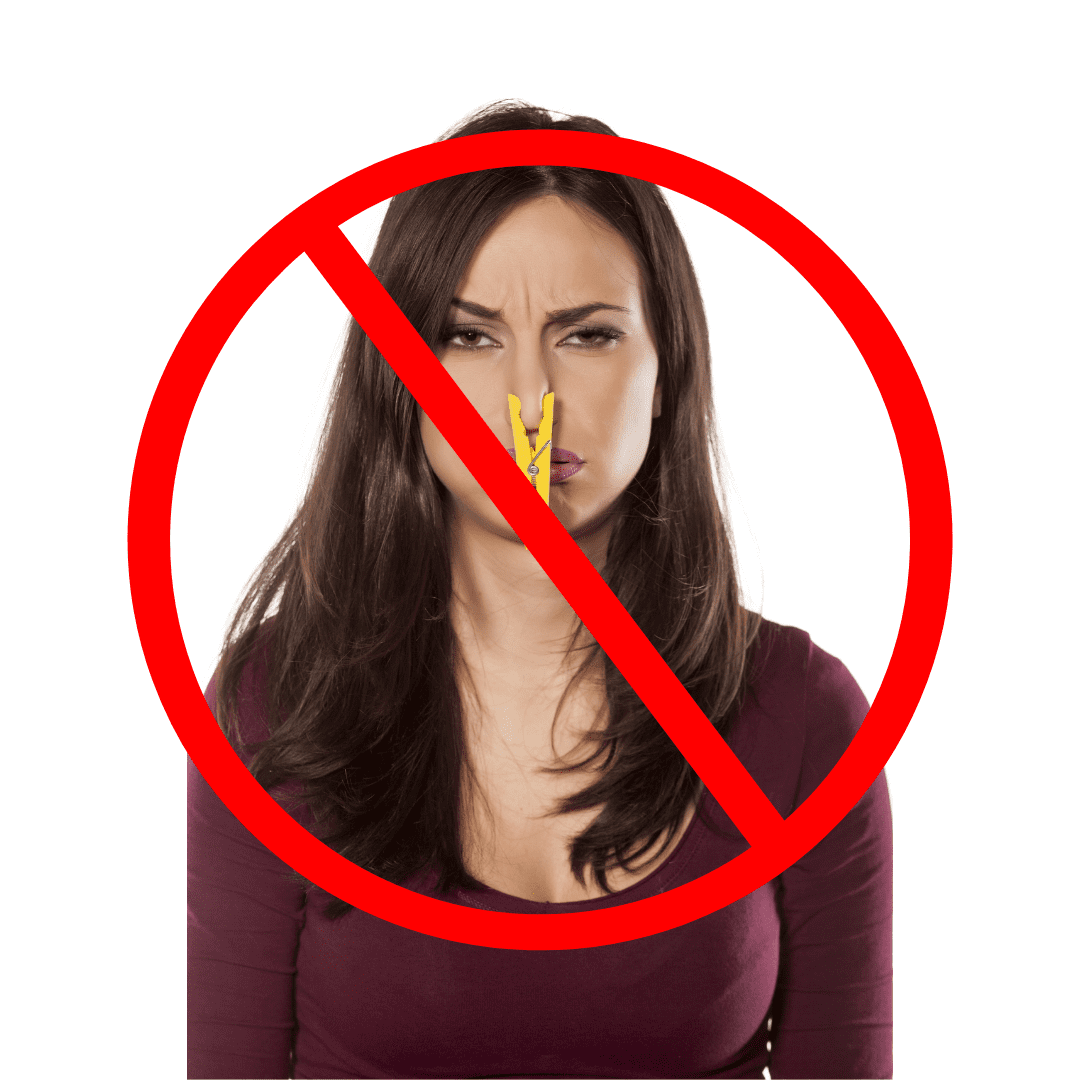 Steam Cleaning - Steam & Sanitize