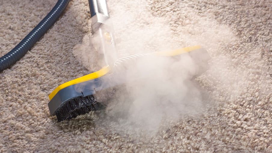 Steamatic Restoration services after water and fire damage Carpet