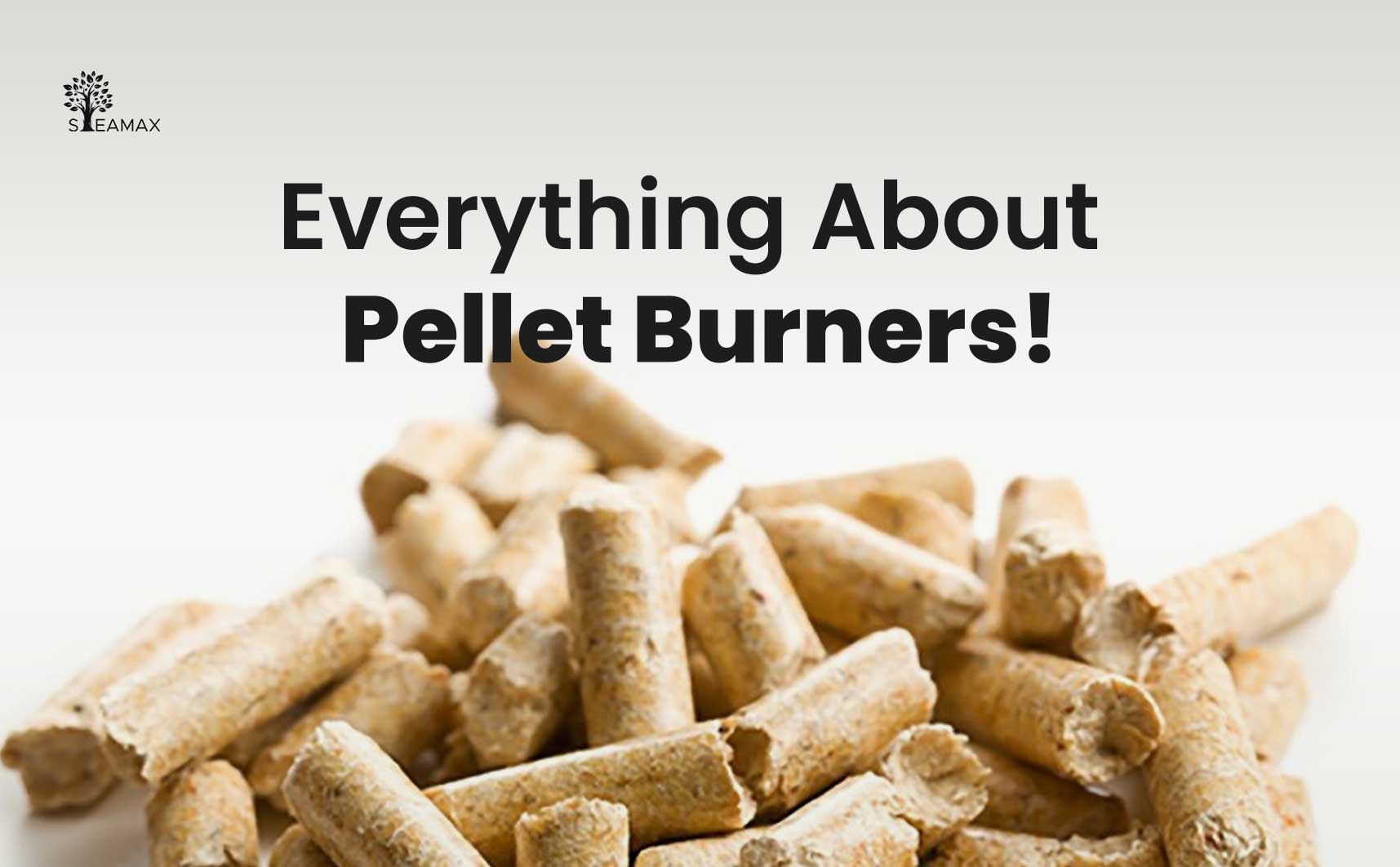 How Pellet Burner Works? Steamaxindia