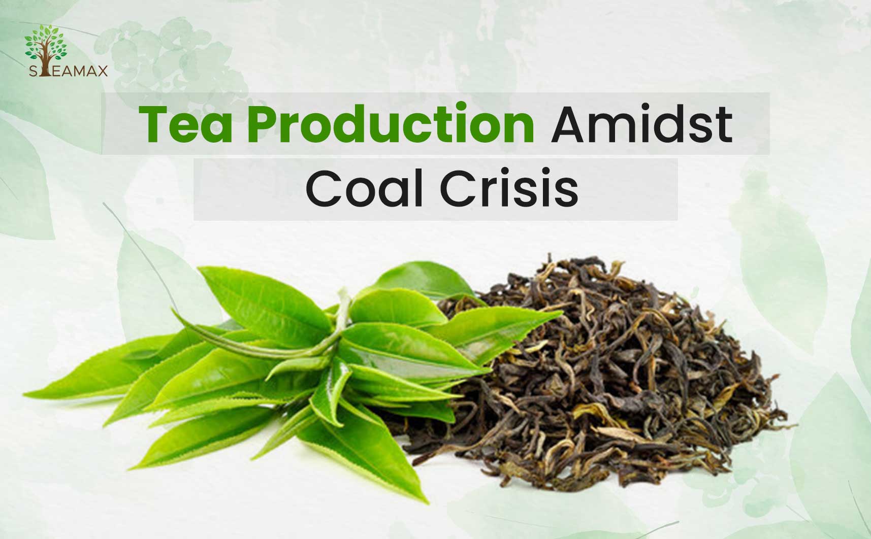 Switching from Coal to Biomass in Tea Production Industry. Steamaxindia