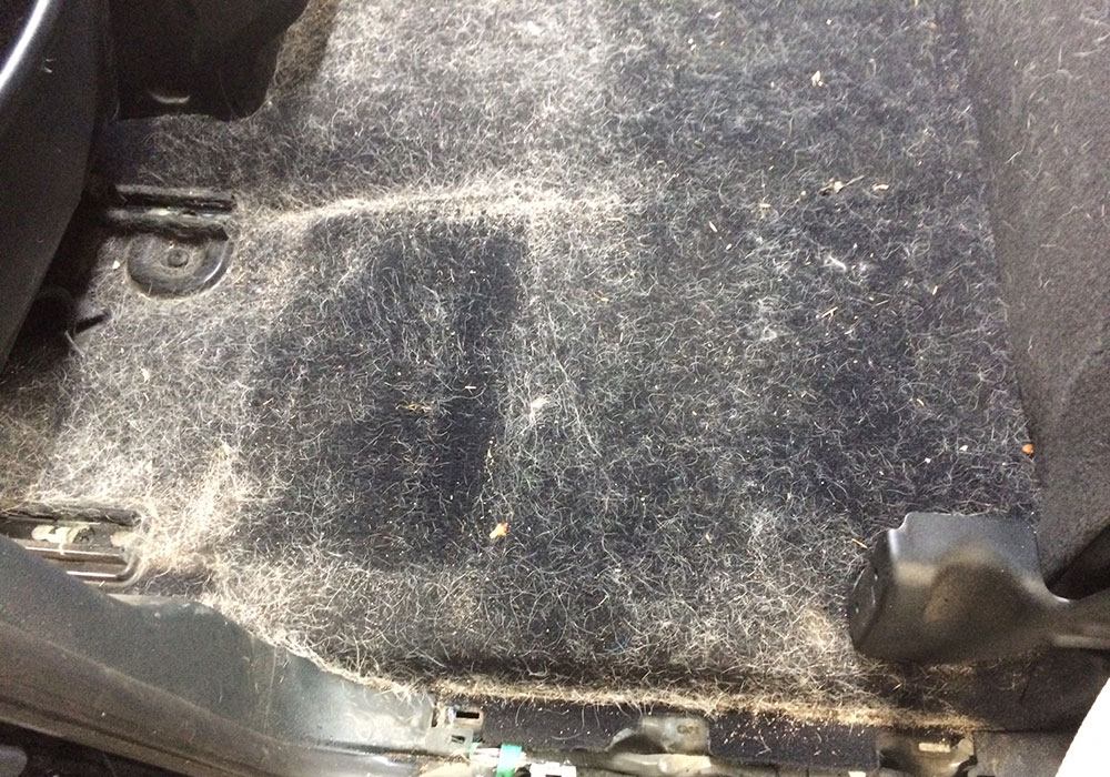 Before & After Steamboat Detailing