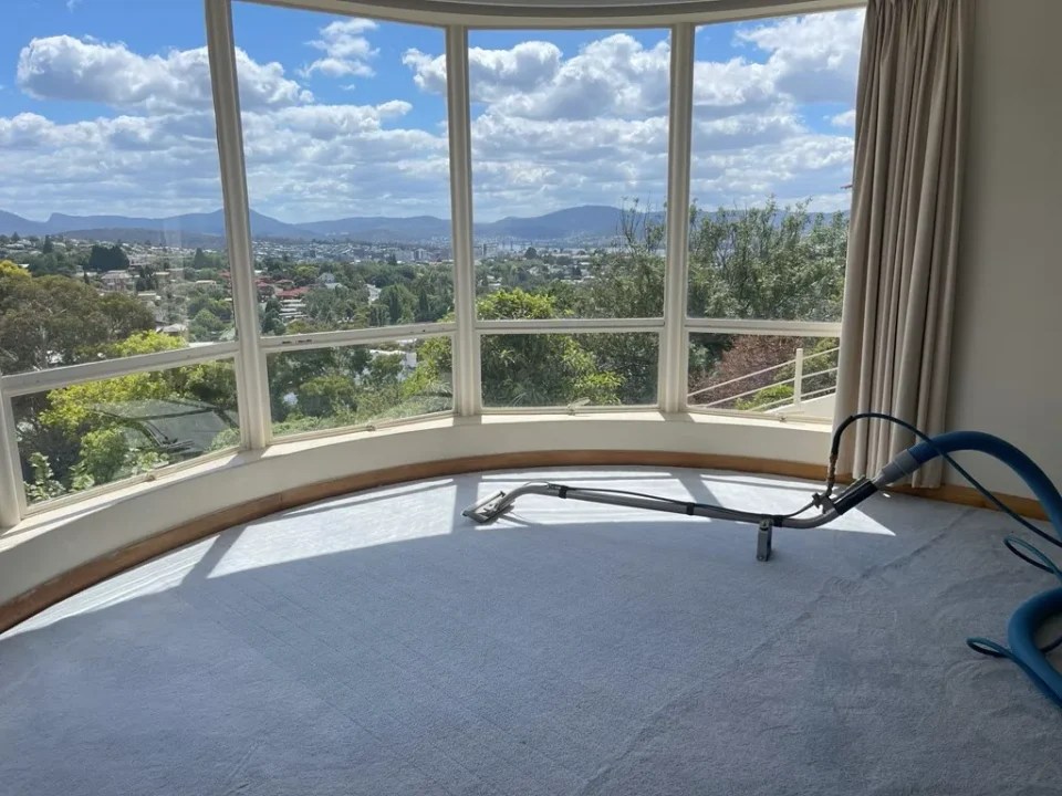 Professional Carpet Cleaning In Hobart Steam Clean Team