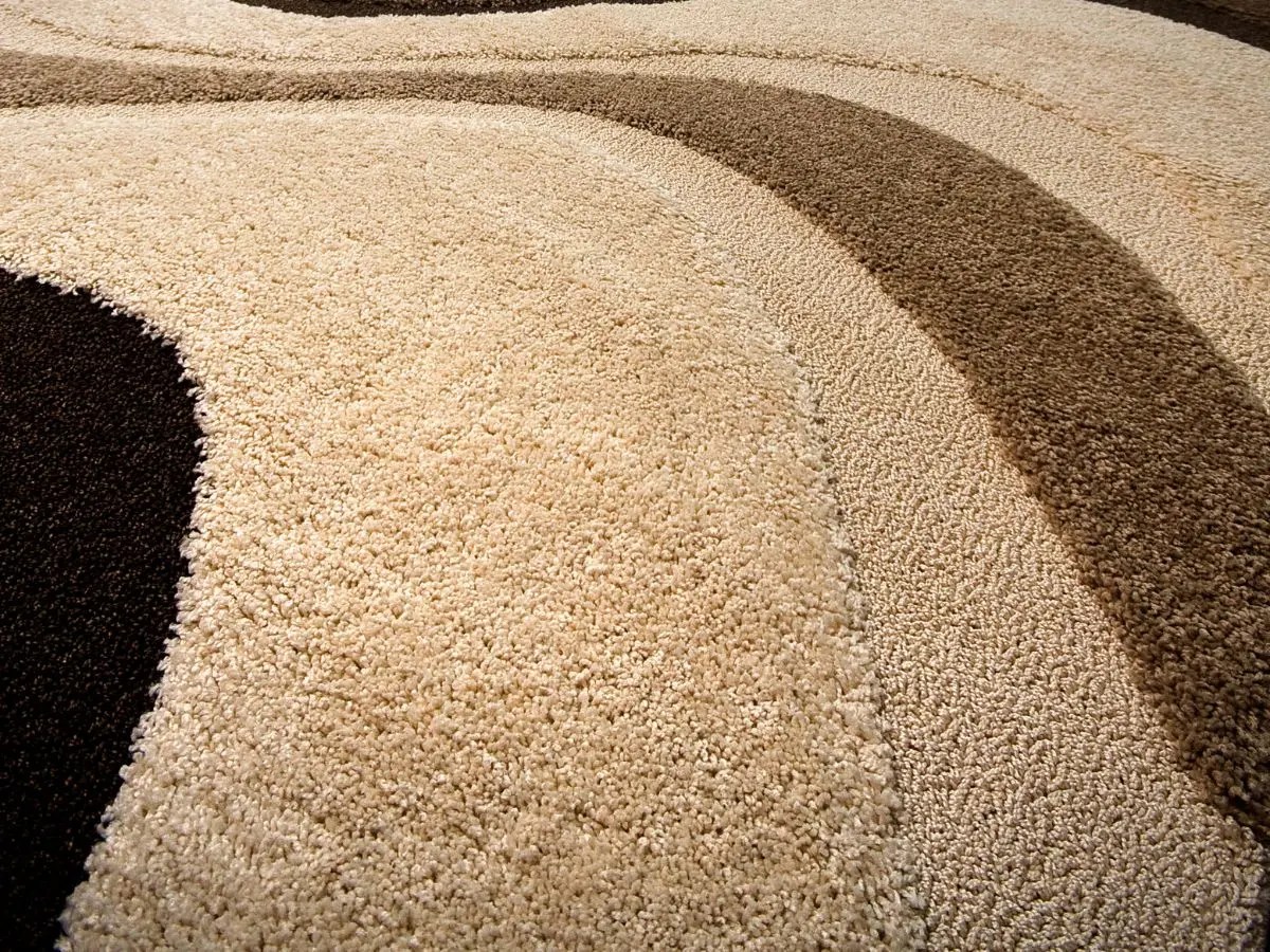 Different Types of Carpet Steam Clean Team