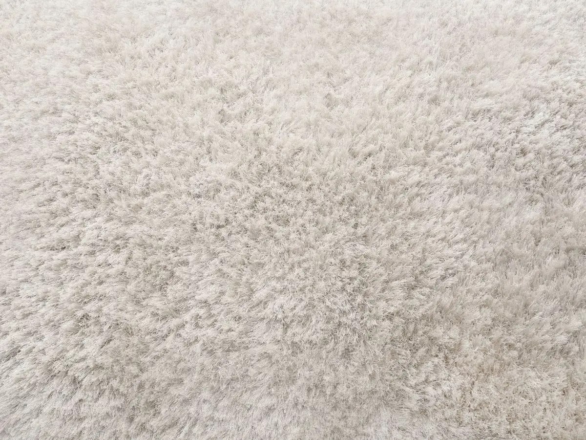 How to Clean Wool Carpet Expert Guide Steam Clean Team