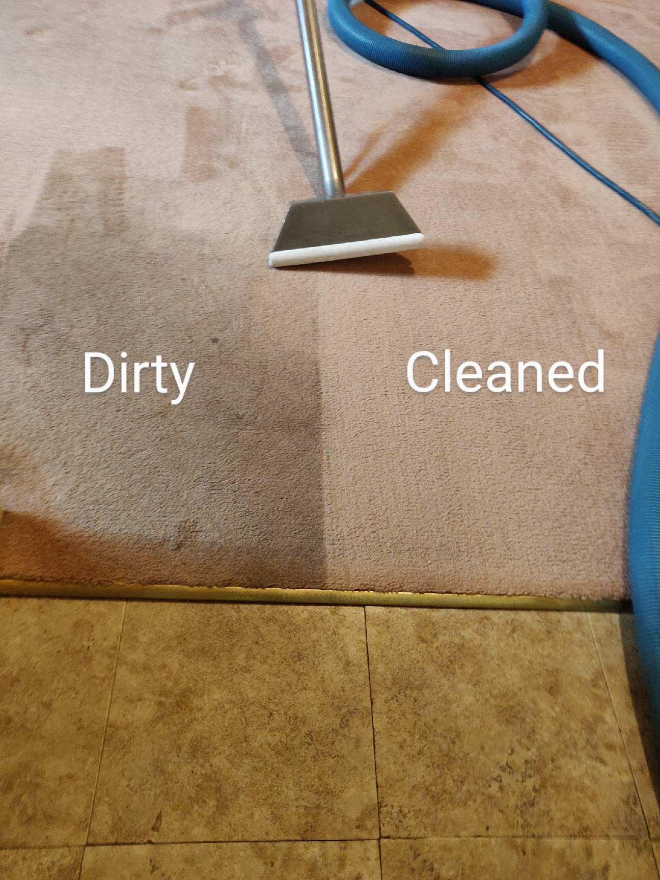 SteamJet Carpet Cleaning Residential Carpet Cleaning Services Erie PA