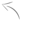 Level 15543 Information Steam Level Calculator