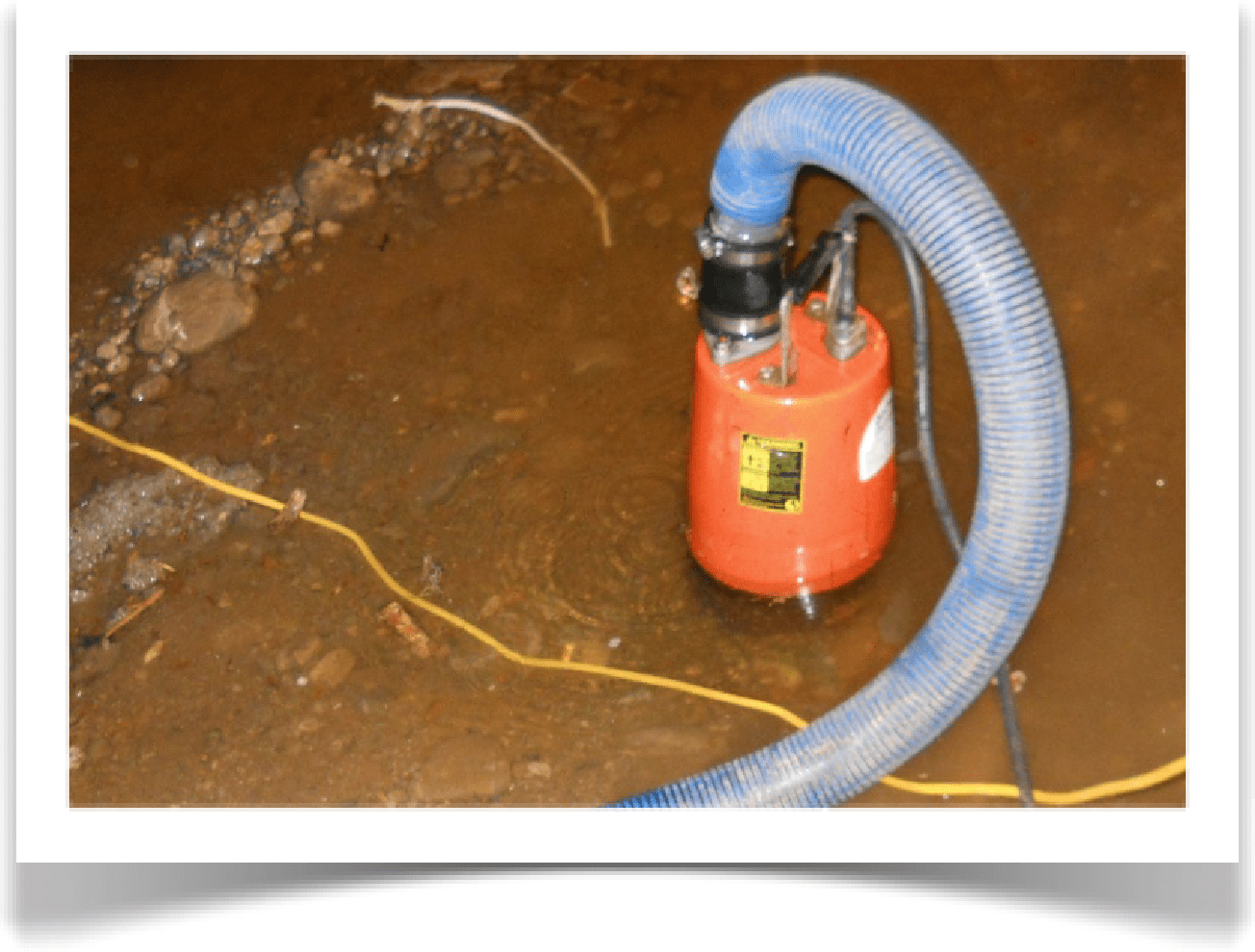 Water Extraction Services Team- Flood Extraction Colorado