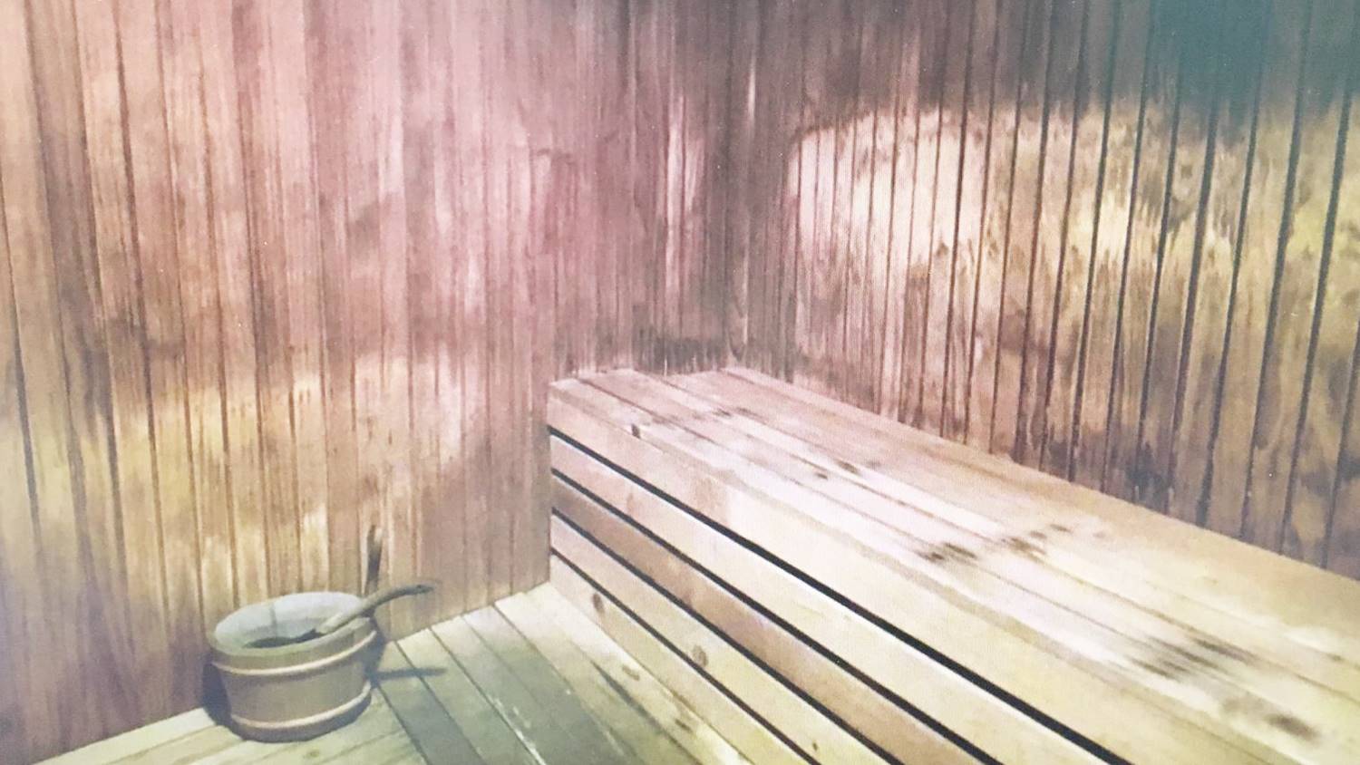 Sauna Room Cleaning, Maintenance & Care SteamSauna.sg