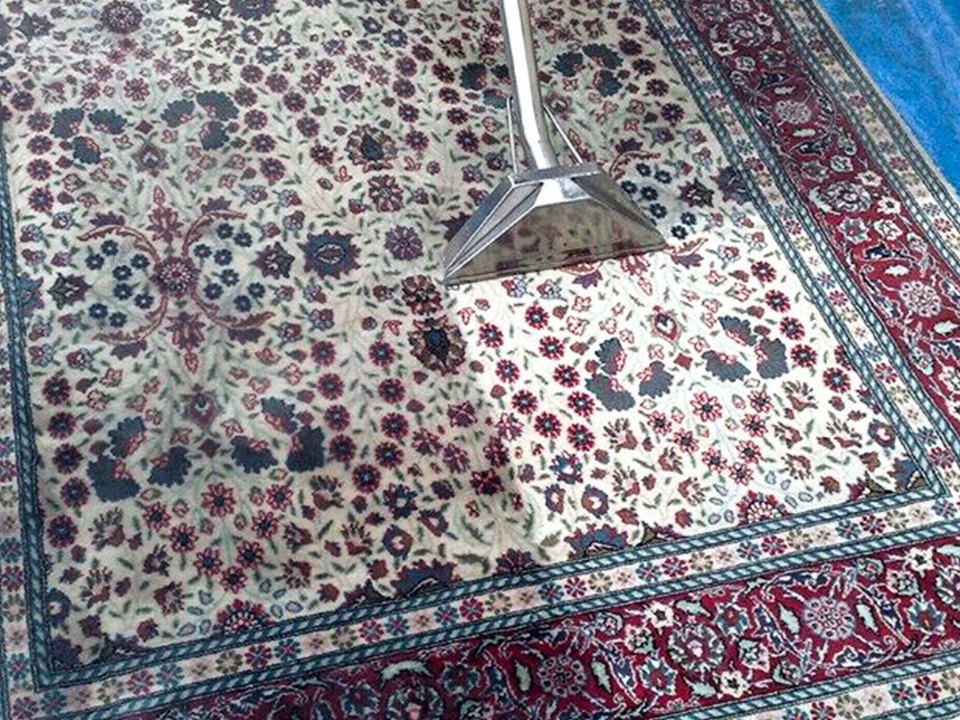 Expert Carpet Cleaning Services in Durban SteamSolve Durban North