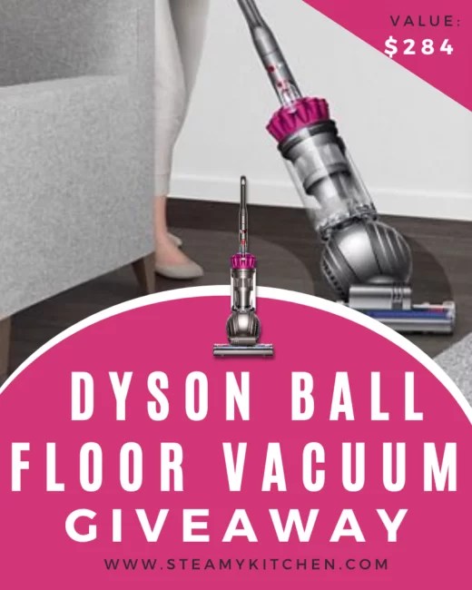 YoWinner Dyson Ball Floor Vacuum Giveaway