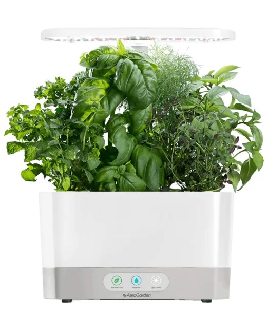 AeroGarden Indoor Herb Garden Giveaway • Steamy Kitchen Recipes Giveaways
