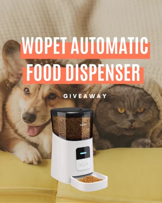 WOPET Automatic Food Dispenser Giveaway • Steamy Kitchen Recipes Giveaways