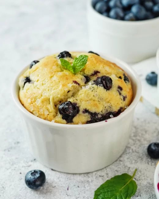 Blueberry Muffin in a Mug • Steamy Kitchen Recipes Giveaways