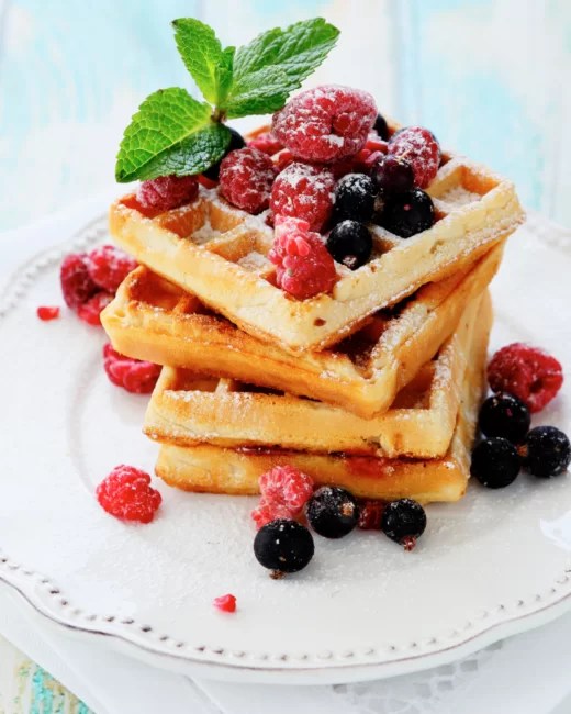 CuisinArt Waffle Iron Giveaway • Steamy Kitchen Recipes Giveaways