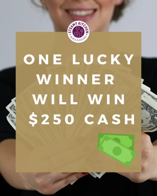 250 Cash Bonanza Giveaway • Steamy Kitchen Recipes Giveaways