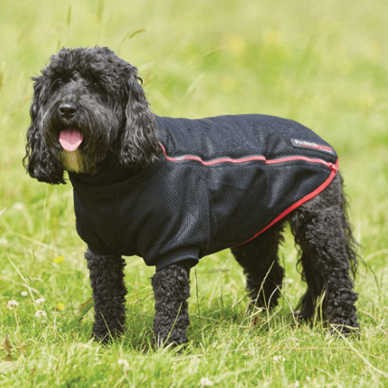 Protechmasta Woofmasta Dog Coat Steed & Style