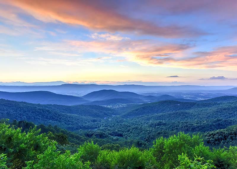 Best & Most Unique Places To Stay In Virginia In 2022!
